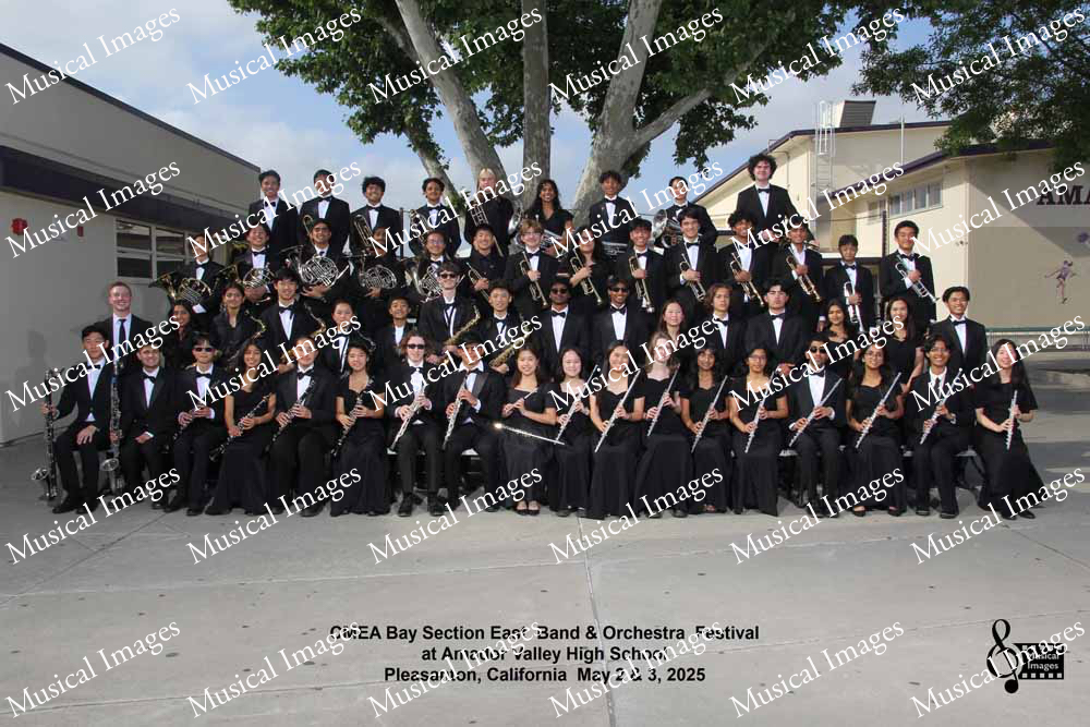 Musical Images